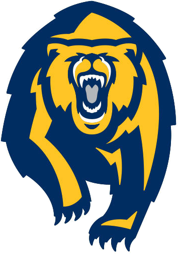 California Golden Bears 2013-Pres Alternate Logo diy iron on heat transfer